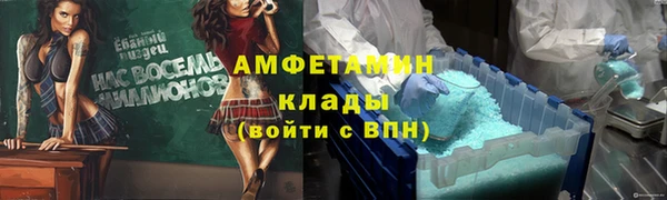 дживик Богородицк