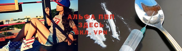 mdpv Богородск