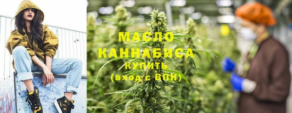 дживик Богородицк