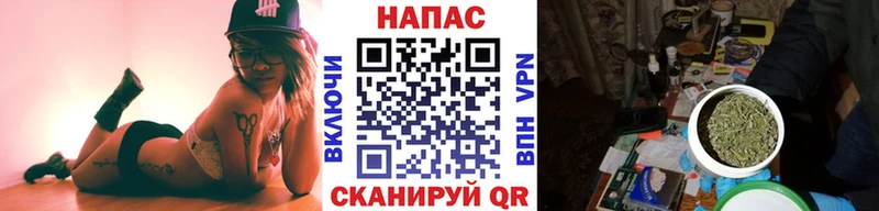 как найти закладки  мориарти клад  Бошки марихуана план  Невельск 